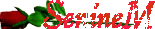 Nik